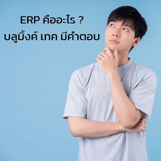ERP คืออะไร ? เมื่อไรที่เราจะต้องใช้ ERP ? และค่าใช้จ่ายจะอยู่ที่ปริมาณเท่าไร และเราควรให้ใครพัฒนาให้